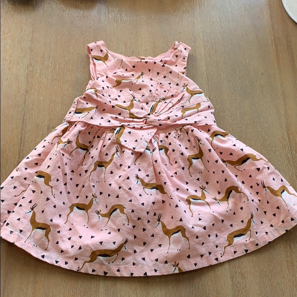Oshkosh Pink Dress